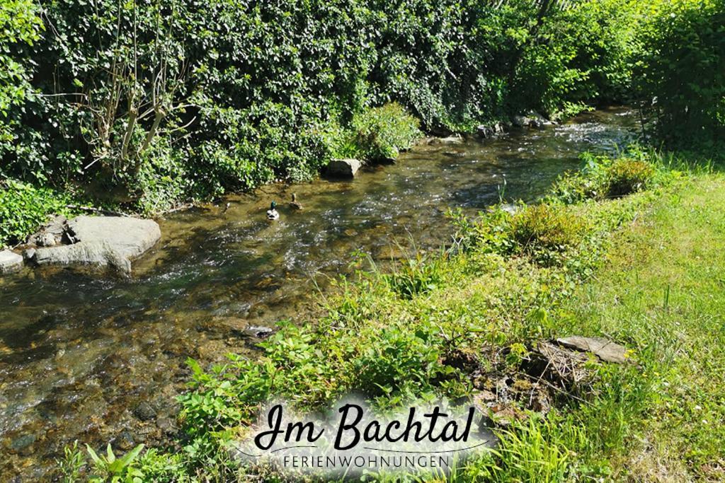 Ferienwohnung Im Bachtal Pommern Luaran gambar